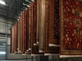 Allergy control cleaning brooklyn ny