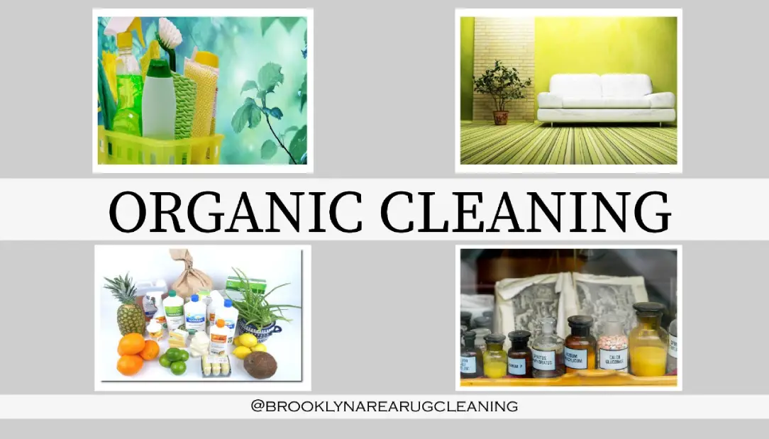 organic cleaning services in brooklyn