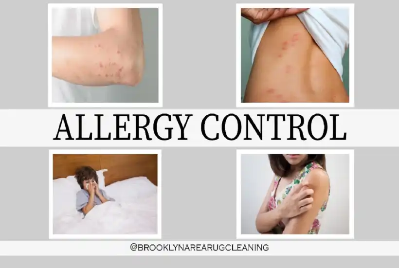 Allergy Control services in brooklyn